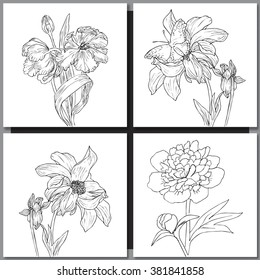 Set of hand drawn flowers sketches for coloring and greeting cards. Vector illustration