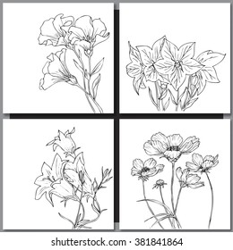 Set of hand drawn flowers sketches for coloring and greeting cards. Vector illustration