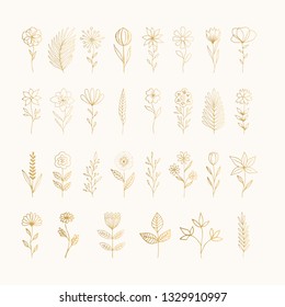 Set of hand drawn flowers with stems. Leaves and floral elements for wedding invite. Golden design. Vector illustration.