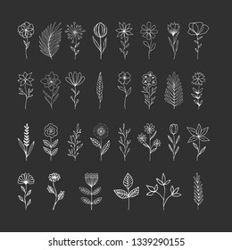 Set of hand drawn flowers with stems. Vector illustration.