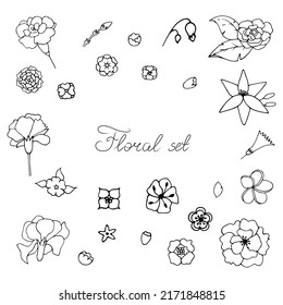 A set of  hand drawn flowers, summer fun flowers, linear drawing
