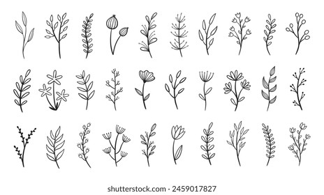 Set of hand drawn flowers and tree branches with leaves on white background. Vector illustration