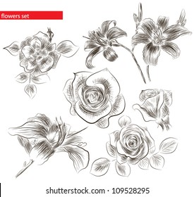 Set of hand drawn flowers vector