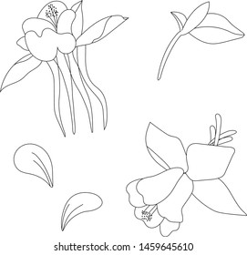 Set of hand drawn flowers. Vector sketch floral collection. Botanic outline designer element set.