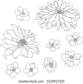 Set of hand drawn flowers vector illustration, flower lineart isolated graphic elements for your design, floral lineart for classic design.