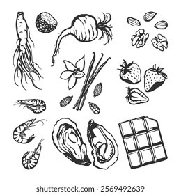 Set of hand drawn food aphrodisiacs. Different types of food elements for Valentines day, health topic design