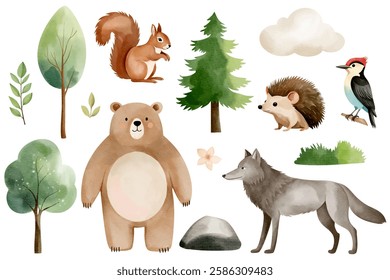 Set of hand drawn forest animals. Bear, wolf, hedgehog, squirrel, woodpecker. Watercolor woodland animals. 