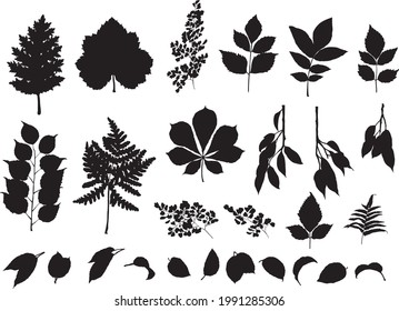 Set of Hand Drawn Forest Leaves Silhouettes, Vector Illustrations for invitations, greeting cards, quotes, blogs, posters.