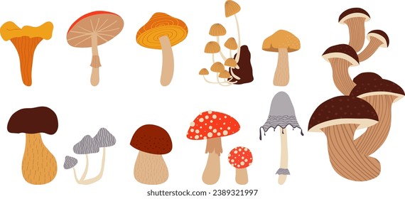 Set with hand drawn forest wild mushrooms: chanterelle, cep, amanita and truffle, white mushroom, honey agarics, fly agarics, morels. Isolated vector illustration set. Cartoon style