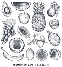 Set of hand drawn fresh fruits in sketch style. Black and white vector collection. Organic graphic vegetarian objects for restaurant menu, grocery market