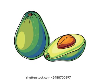 Set of hand drawn fresh green avocado with seed. Whole and halved tropical fruit in doodle style. Vector illustration isolated on white background