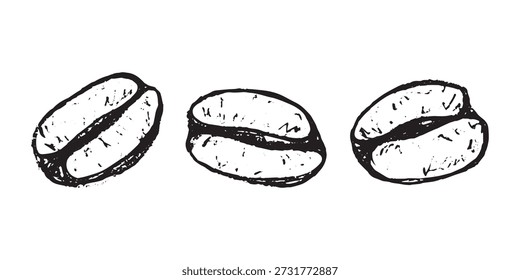 Conjunto de grano de café tostado fresco dibujado a mano Arabica robusta semilla doodle Elemento único para diseño de impresión de embalaje etiqueta decoración