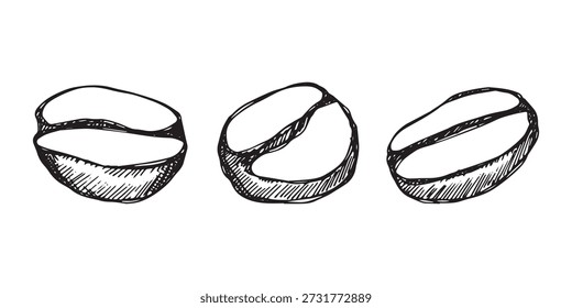 Conjunto de grano de café tostado fresco dibujado a mano Arabica robusta semilla doodle Elemento único para diseño de impresión de embalaje etiqueta decoración