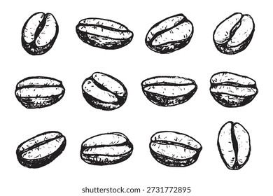 Conjunto de grano de café tostado fresco dibujado a mano Arabica robusta semilla doodle Elemento único para diseño de impresión de embalaje etiqueta decoración