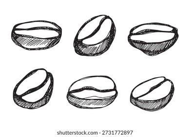 Conjunto de grano de café tostado fresco dibujado a mano Arabica robusta semilla doodle Elemento único para diseño de impresión de embalaje etiqueta decoración