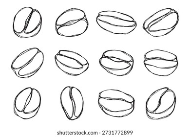 Conjunto de grano de café tostado fresco dibujado a mano Arabica robusta semilla doodle Elemento único para diseño de impresión de embalaje etiqueta decoración