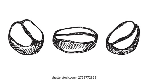 Conjunto de grano de café tostado fresco dibujado a mano Arabica robusta semilla doodle Elemento único para diseño de impresión de embalaje etiqueta decoración