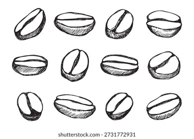 Conjunto de grano de café tostado fresco dibujado a mano Arabica robusta semilla doodle Elemento único para diseño de impresión de embalaje etiqueta decoración
