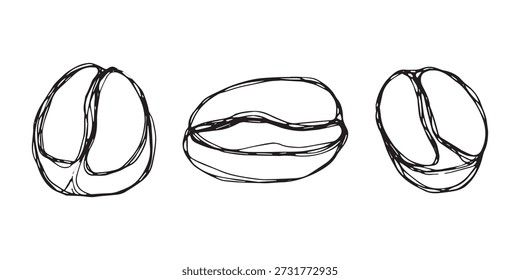 Conjunto de grano de café tostado fresco dibujado a mano Arabica robusta semilla doodle Elemento único para diseño de impresión de embalaje etiqueta decoración