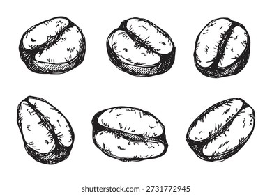 Conjunto de grano de café tostado fresco dibujado a mano Arabica robusta semilla doodle Elemento único para diseño de impresión de embalaje etiqueta decoración
