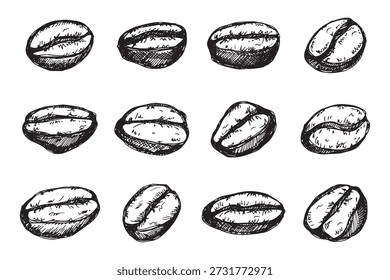 Conjunto de grano de café tostado fresco dibujado a mano Arabica robusta semilla doodle Elemento único para diseño de impresión de embalaje etiqueta decoración