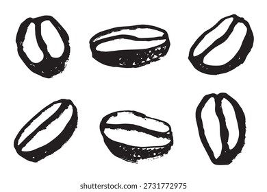 Conjunto de grano de café tostado fresco dibujado a mano Arabica robusta semilla doodle Elemento único para diseño de impresión de embalaje etiqueta decoración