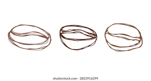 Set of hand drawn fresh roasted coffee bean Arabica robusta seed doodle Single element for design print packaging label decor
