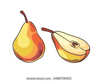 Set of hand drawn fresh yellow pear with seed. Whole and halved fruit in doodle style. Vector illustration isolated on white background