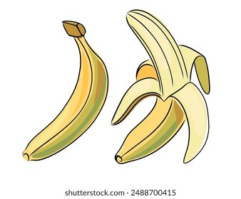 Set of hand drawn fresh yellow banana with peel. Whole and halved tropical fruit in doodle style. Vector illustration isolated on white background
