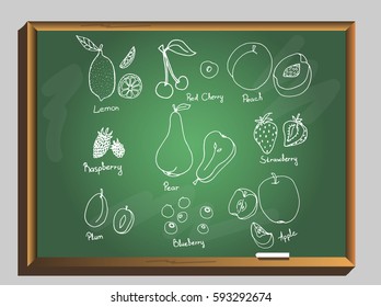Set of hand drawn fruit and berries icons on chalkboard. Doodle set of fruits and berries. Healthy food. Collection of fruits and berries. vector illustration