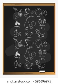 Set of hand drawn fruit and berries icons on blackboard background. Doodle set of fruits and berries. Healthy food. Collection of fruits and berries. vector illustration