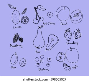 Set of hand drawn fruit and berries icons on blue background. Doodle set of fruits and berries. Healthy food. Collection of fruits and berries. vector illustration