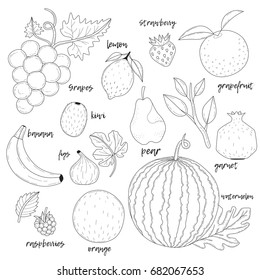 Set of hand drawn fruits.