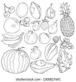 Set hand drawn fruits and berries icons set. Collection farm product in decorative retro sketch style for restaurant menu, market label. 
