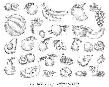 Conjunto de frutas y bayas dibujadas a mano. Iconos o calcomanías con sandía, kiwi, cereza, fresa, uva y pera. Cosecha madura orgánica. Colección simple de vectores de dibujos animados aislada en fondo blanco