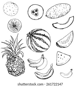 set of hand drawn fruits and berries