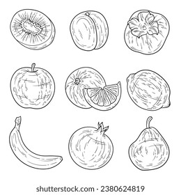 Set of hand drawn fruits ink style. Kiwi, apricot, persimmon, apple, orange, lemon, banana, pomegranate and pear. For coloring pages, menu, greeting cards, banners, poster design, educational books