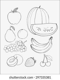 Set of  hand drawn Fruits / Line art fruits