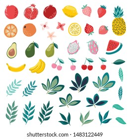 Set of hand drawn fruits in modern hand drawn scandinavian style, tropical garden, pomegranate, citrus, lemon, orange, pineapple, strawberry, watermelon. tropical leaves. Trendy vector illustration