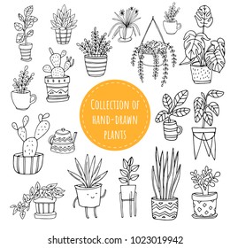 Set of hand drawn funny plants in pots