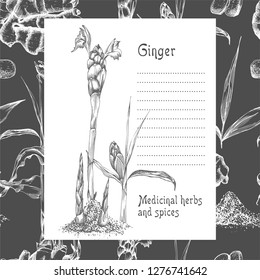 Set hand drawn of Ginger roots, lives and flowers in white chalk color isolated on black board background. Retro vintage graphic design. botanical sketch drawing, engraving style. Vector illustration.