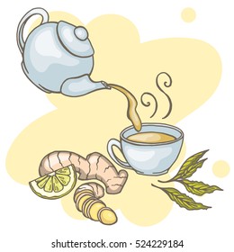 Set of hand drawn ginger tea elements. Vector illustration
