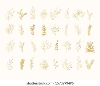 Set of hand drawn golden floral, pine, spruce, fir tree branches. Gold winter herbs for Christmas decoration. Vector isolated holiday design elements.