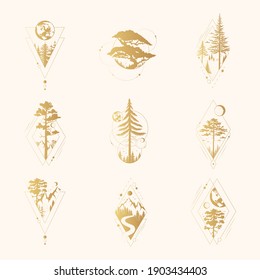 Set handgezeichnete goldene Baumschilder mit Globus, Kiefer, Mond und Sternen... Vektorisolierte Goldrandlustabdrücke. Geometrische Rahmen mit Wald für Etiketten oder Tätowierungen.