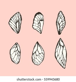 Set of hand drawn graphic decorative butterfly wings