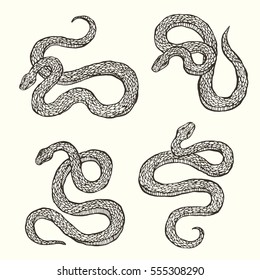 Set of hand drawn graphic snakes