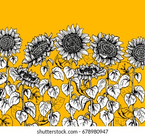 Set of hand drawn Graphic sunflower vintage sketch line