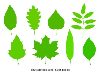 set of hand drawn green leaves silhouettes