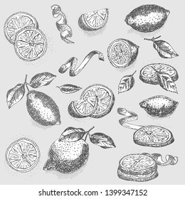 Set of hand drawn half, quarter, slices and zest lemon fruit in black color on gray background. Retro vintage graphic design Botanical sketch drawing, engraving style. Vector illustration.