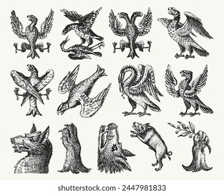 Set of Hand Drawn Heraldry Animals - Various Birds, Eagles, Wild Boars, and Wildlife